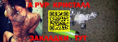 индика Гай