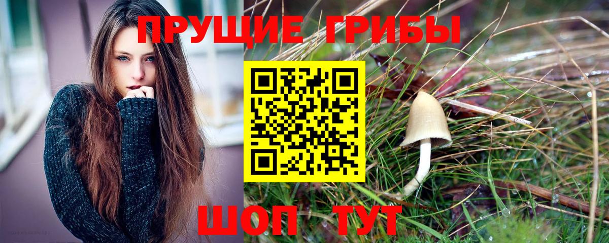 где найти   Псилоцибиновые грибы ЛСД  Вход с VPN  Шарыпово 